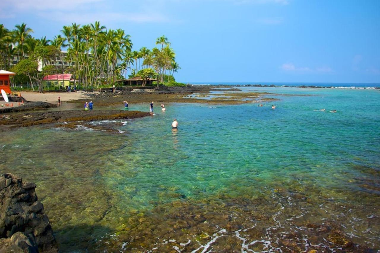 The Cozy Big Studio -30 Days Kailua-Kona Exterior foto